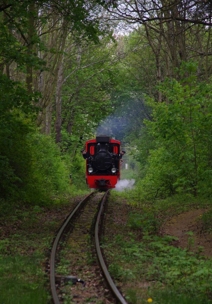 Die beliebte Parkeisenbahn, Fotos: Maximilian Ritter / www.bahnnatur.de /