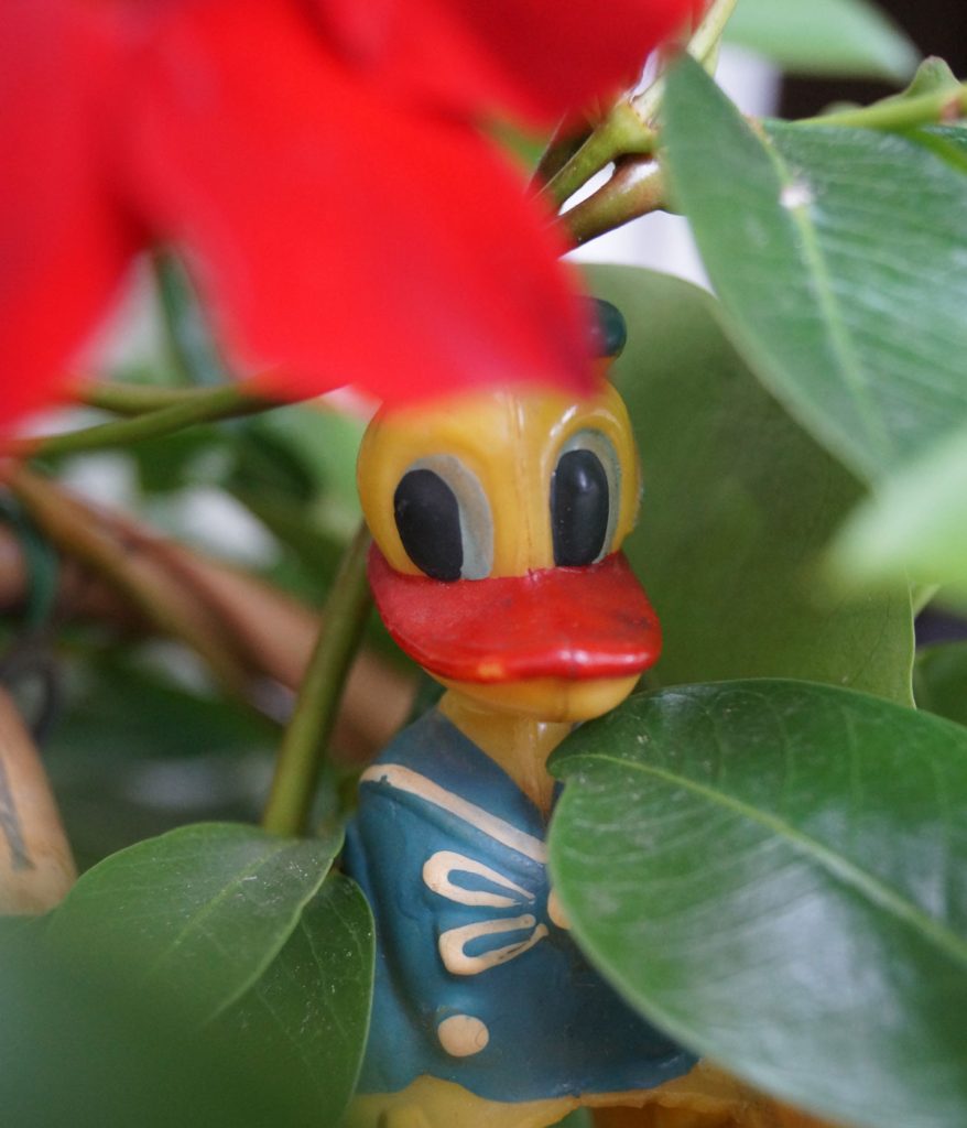 Donald Duck aus der ehemaligen DDR, Foto: André Werner