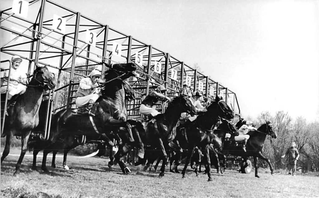 Pferderennen .| Quelle: Peter Heinz Junge, Bundesarchiv, Wiki Commons