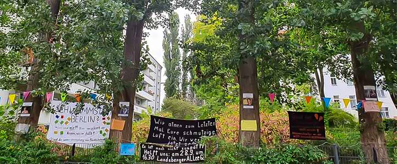 Es geht um den Erhalt von mehr als 30, teilweise 50 Jahre alten Bäumen, und eines grünen Biotops im dicht bebauten Berliner Kiez Friedrichshain.